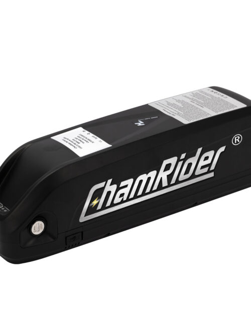 Hailong 2 battery (48V - 20 AH)