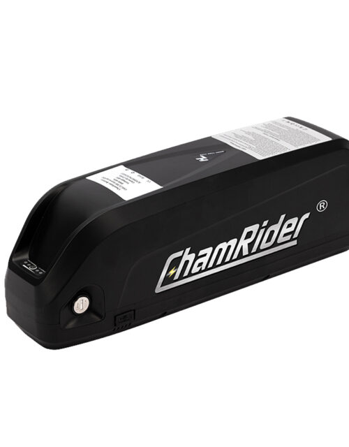 Hailong max battery (48V-25AH)