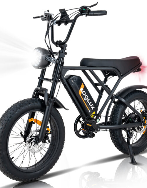 BK29 Ebike