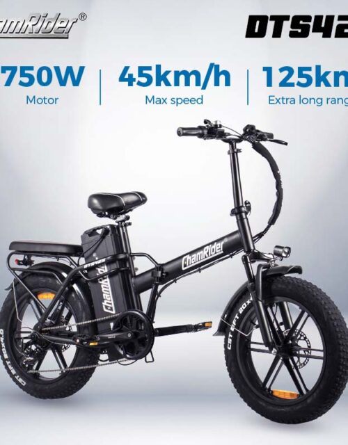 ChamRider DTS425 Ebike - 48V 32AH Battery, 125KM Range & 750W Power - Best - Value Choice for European Food Delivery Riders!