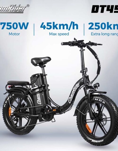 ChamRider DT450 E-Bike | 48V 50Ah Monster Battery | 250KM Range | 750W High Torque Motor | 20" Fat Tire Foldable Delivery Electric Bike