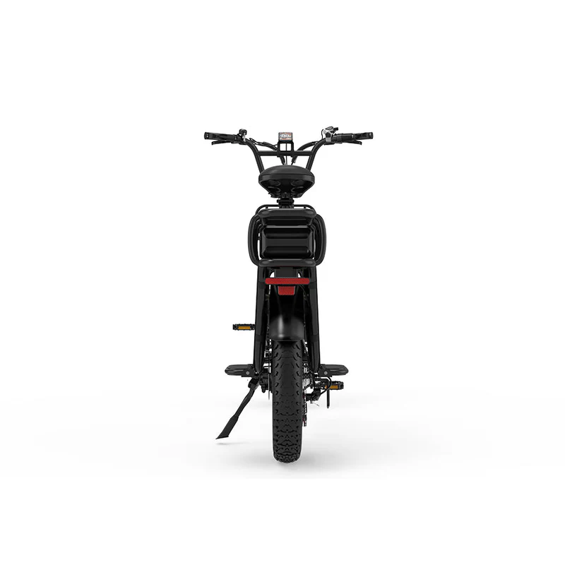 KOOLUX X8 Electric Cargo Bike | Monster 48V 65Ah Dual Battery | 220KM Max Range | 750W High-Torque Motor - Image 4