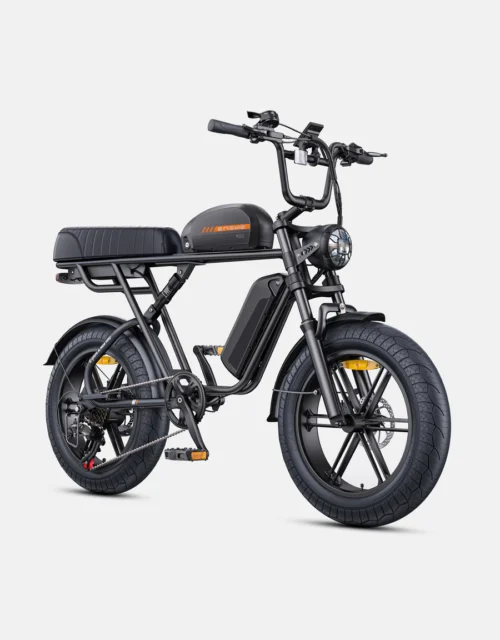ENGWE M1 250W 65Nm 170KM Dual Passenger Electric Fat Bike