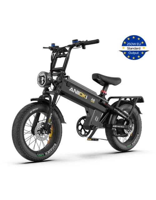 EU ANIIOKI A8 Pro Max: Dual Motor Ultra Long-Range Electric Fat Bike (52V 70Ah / 330km)