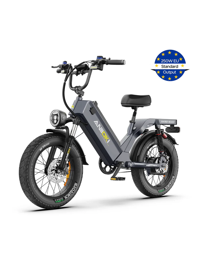 EU ANIIOKI AQ177 Pro Max: Ultra Long-Range Electric Fat Bike (48V 60Ah) - Image 2