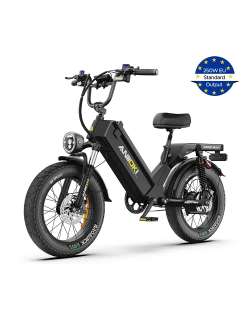 EU ANIIOKI AQ177 Pro Max: Ultra Long-Range Electric Fat Bike (48V 60Ah)