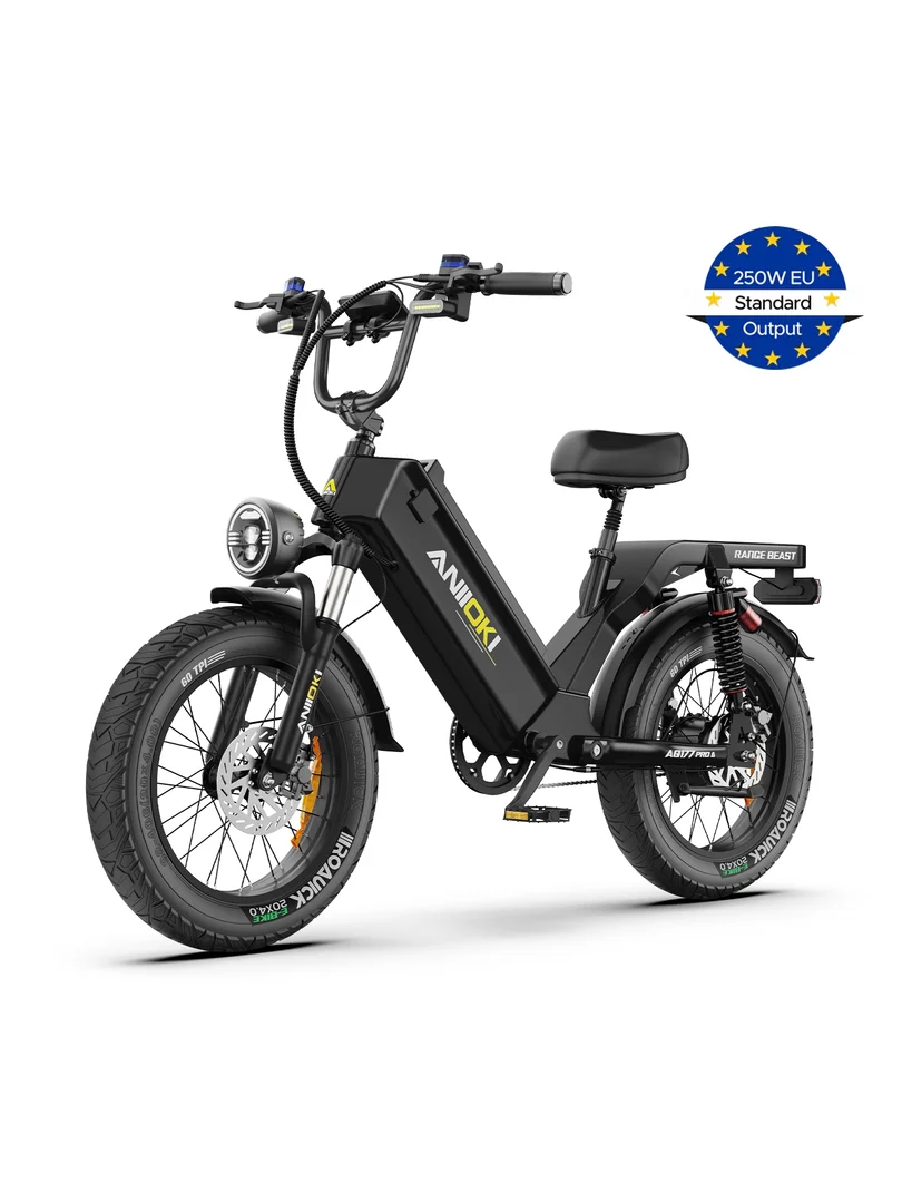 EU ANIIOKI AQ177 Pro Max: Ultra Long-Range Electric Fat Bike (48V 60Ah)